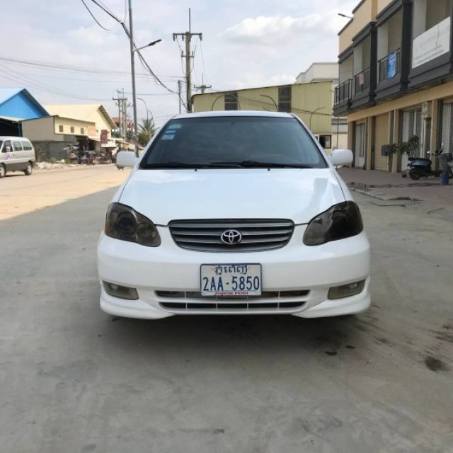 Corolla S 03 ពណ៌ស