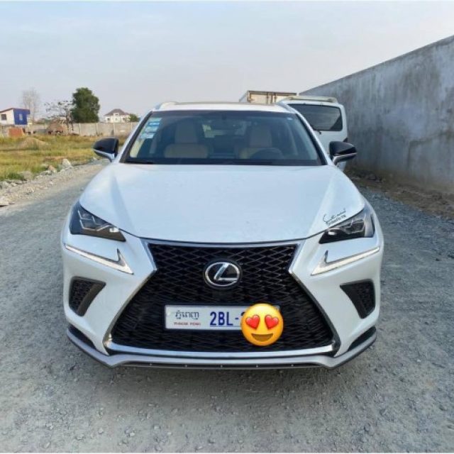 Lexus Nx 200T 2016 Upto Nx300