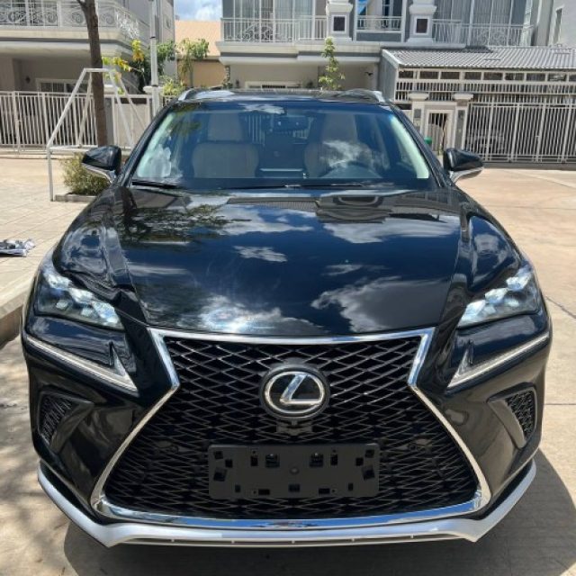 Lexus Nx200t_2015_ទឹកថ្នាំស៊ីនបាញ់កាងមុខ