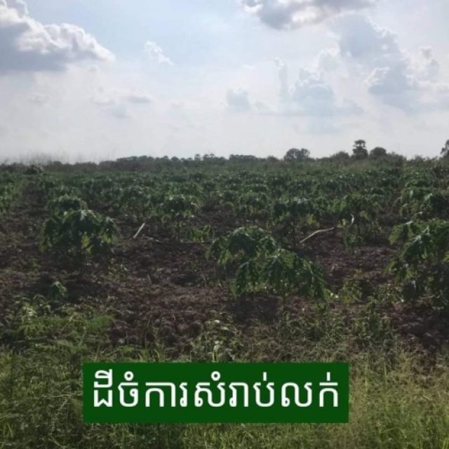 ដីចំការលក់តម្លៃ តែ32000$បន្ទាន់