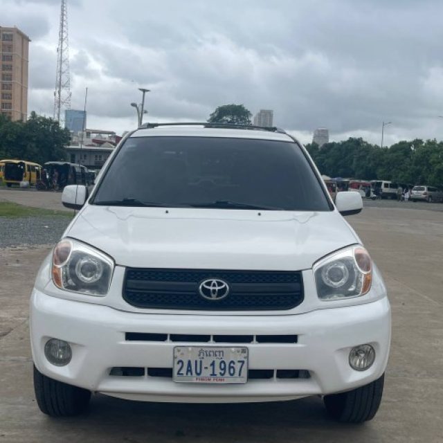 Toyota RAV4L 2004 pong1