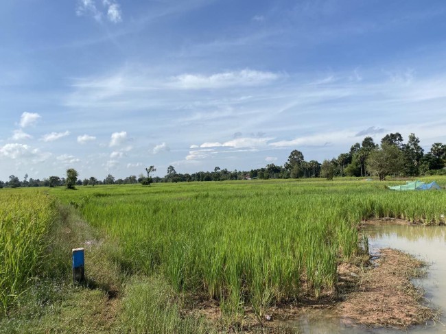 ដីលក់ភូមិសំរោង ឃុំ ខ្នារពោធិ៍