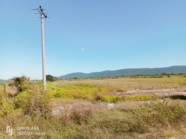 មានដីចំការលក់1កន្លែងទំហំ12ហិកតា