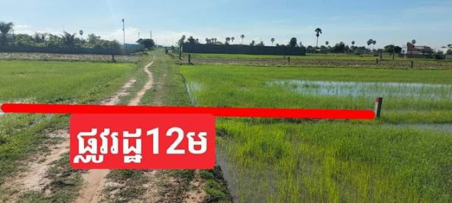 ដីធូរថ្លៃណាស់ ប្រញ៉ាប់ឡើង