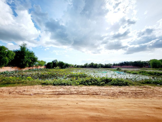 ដីលក់​បន្ទាន់ក្នុងក្រុងសៀមរាប